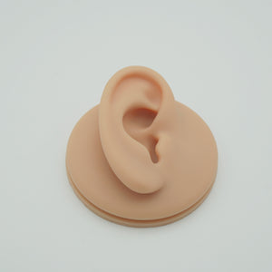 Silicone Earring Display Stand for Jewelry Photography and Retail Showcase