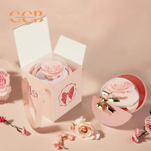 Real Preserved Red Rose Ring Box