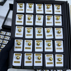 5A 11–18mm Deep Golden South Sea Pearl, Undrilled Philippine Bead