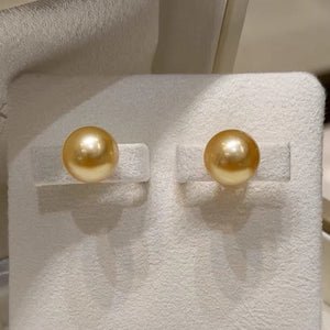 8-13mm Tea Gold South Sea Pearl Stud Earrings