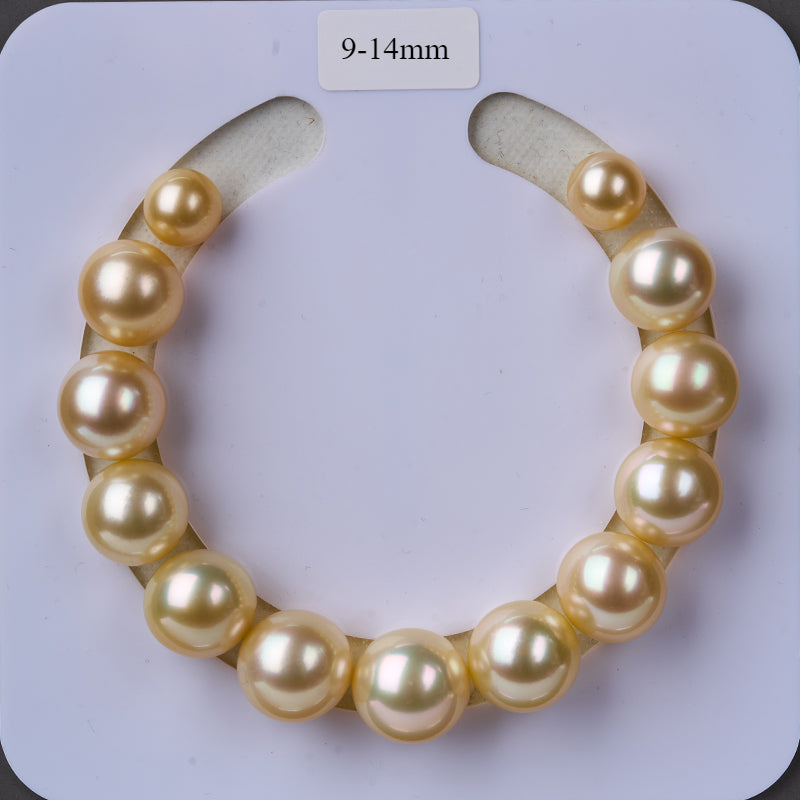 5A 8–15mm Golden South Sea Pearl Stud Earrings in 18K Gold Setting