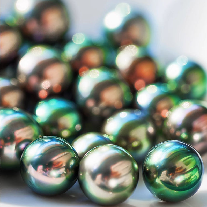 5A Tahitian Black Pearl Earrings 8–14mm in 18K Solid Gold