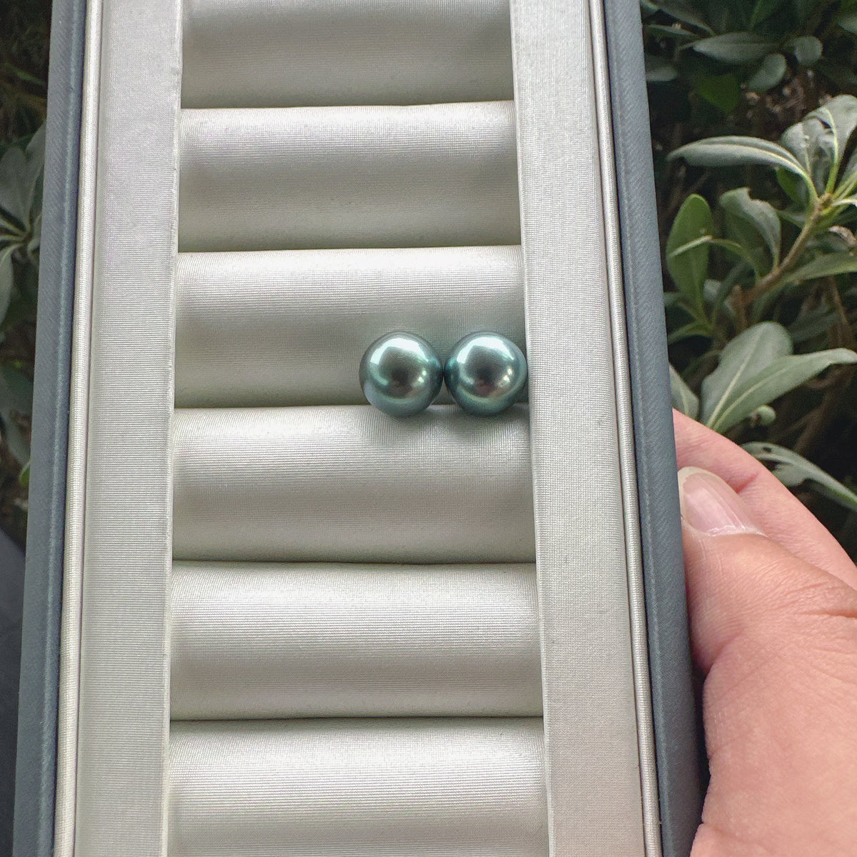 4A Tahitian Pearl Matched Pair 10mm