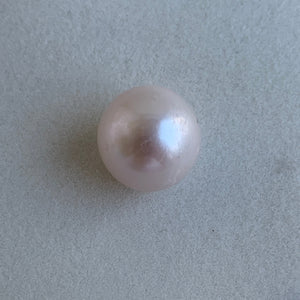4A 1pc 14-15mm White Round Pearl