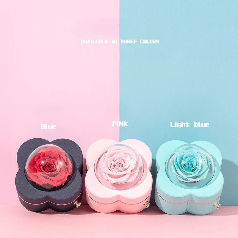 Preserved Four-Leaf Clover Flower Ring or Pendant Jewelry Box