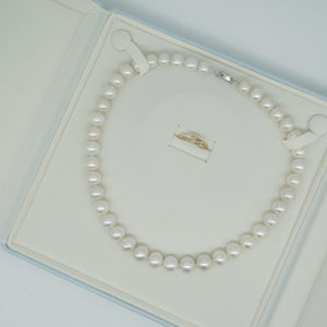 Sky blue velvet pearl necklace box