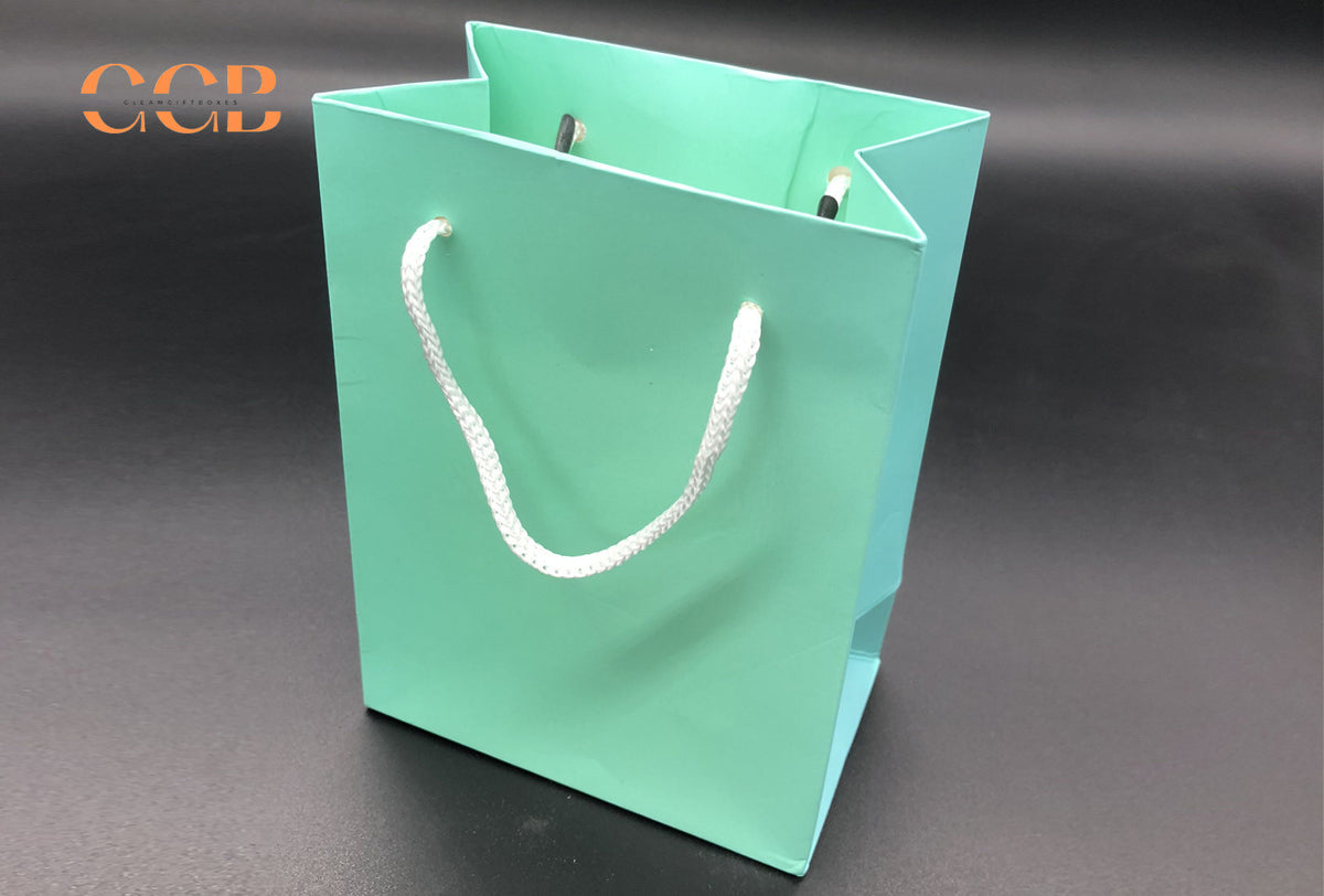 20pc Bulk Wholesale Paper Gift Bags | Custom Logo Jewelry Handbag Tote | Retail Packaging Supplier