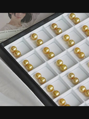 8-13mm Tea Gold South Sea Pearl Stud Earrings